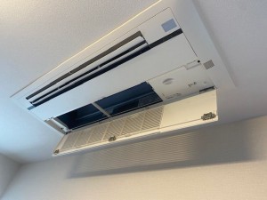 image250524_1-1