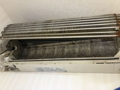 image260713_0-1