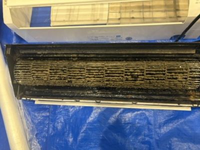 image260713_0-3