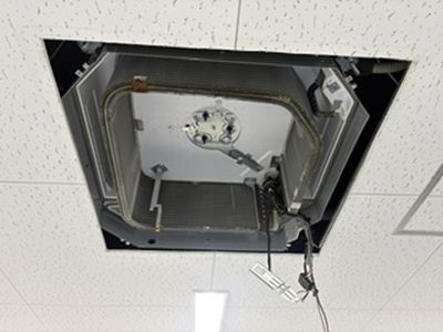 image261008_1-5